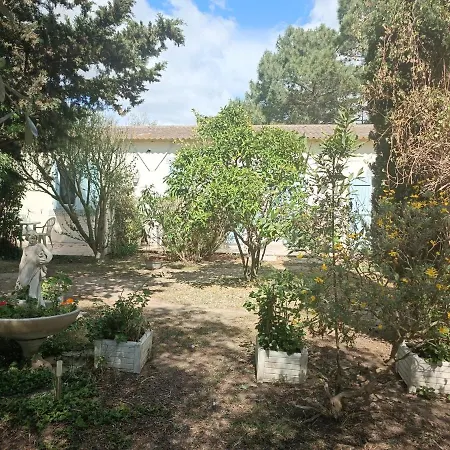 Mas Des Pins * Saint-Cyprien