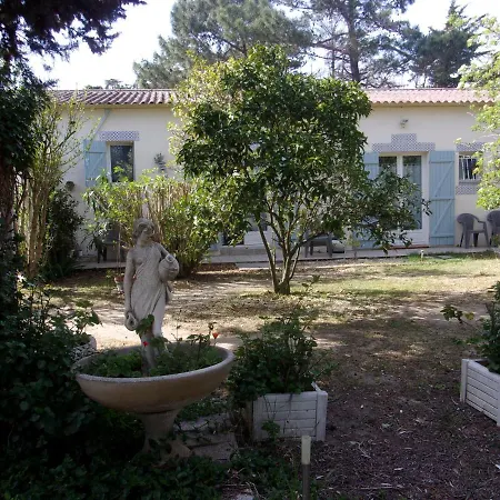 Bed & Breakfast Mas Des Pins Saint-Cyprien (Pyrenees-Orientales)