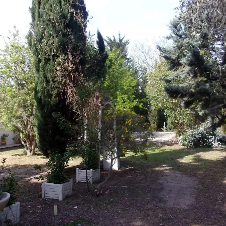 Mas Des Pins Bed & Breakfast *