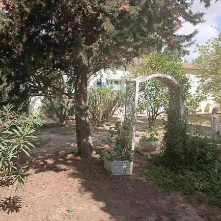 Mas Des Pins Bed & Breakfast